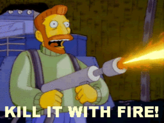 kill-it-with-fire.gif image by sky472007